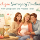 Michigan surrogacy timeline overview showing step by step stages of the surrogacy process