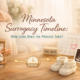 Minnesota surrogacy timeline overview showing the stages and length of the surrogacy process
