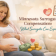 Minnesota surrogate compensation overview explaining pay and benefits for gestational surrogates