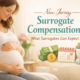 New Jersey surrogate compensation overview explaining pay and benefits for gestational surrogates