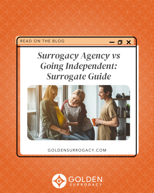 Think surrogacy is just applying, showing up for appointments, and having the baby? Think again...⁠
⁠
There is so much behind the scenes including legal paperwork, insurance, and emotional support. Going independent might seem simple but handling all of that alone can quickly become overwhelming.⁠
⁠
That is where Golden comes in. We take care of the details so you can focus on your health, your pregnancy, and the experience of helping a family grow! With 24/7 support and guidance at every step, your journey is safer, smoother, and more fulfilling 🧡⁠
⁠
Discover why working with a trusted surrogacy agency makes all the difference in this blog (🔗 in bio)!⁠
⁠
#GoldenSurrogacy #EveryoneDeservesAFamily #becomeasurrogate #surrogacy #surrogate #surrogacystory #surrogacyjourney #surrogatefamily #surrogacyrocks #gestationalsurrogacy #proudsurrogate #surrogacyagency #intendedparents #family #fertility #lgbtq #lgbt #LGBTHistoryMonth #Pride #LoveIsLove #Equality